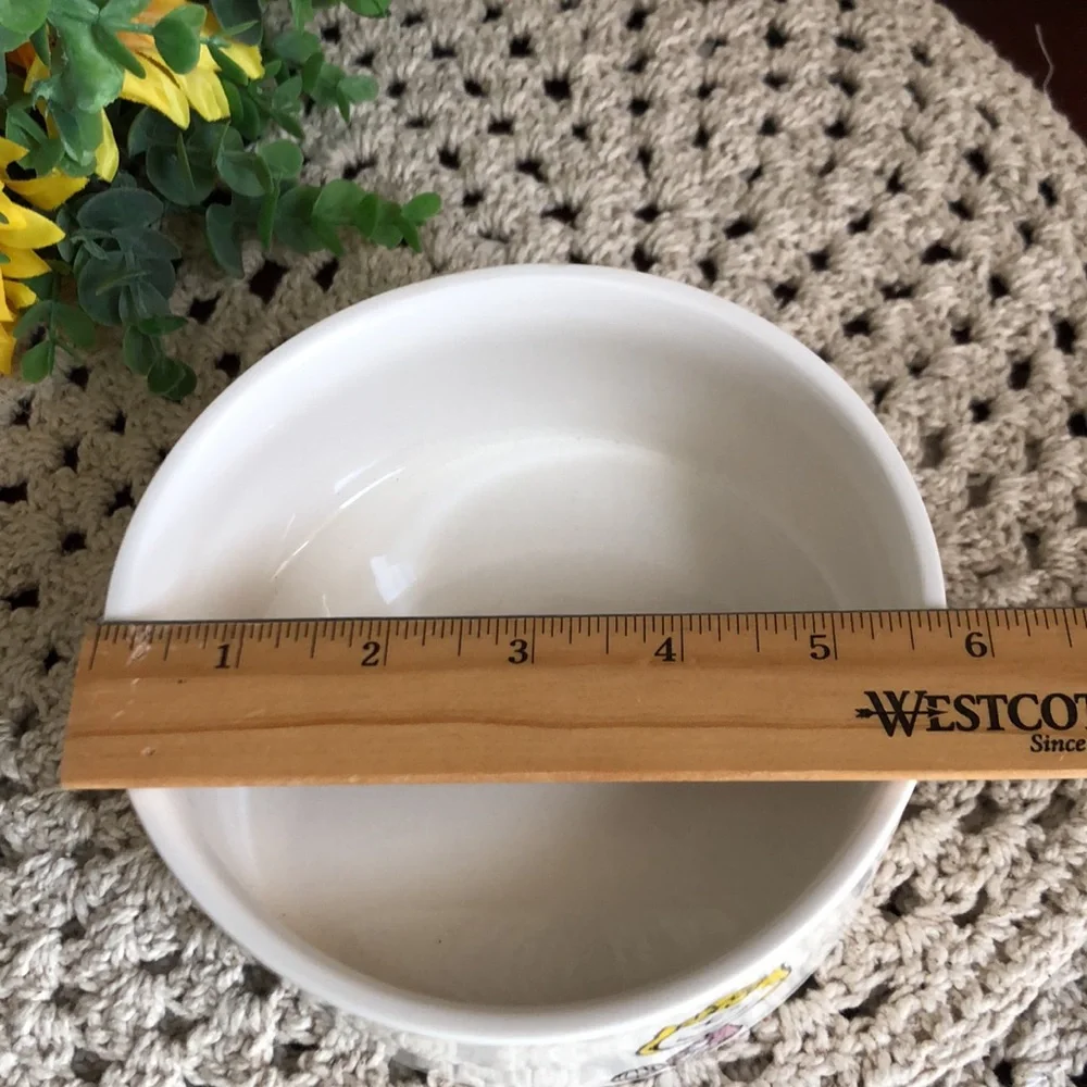 Peanuts Character Ceramic PET Bowl